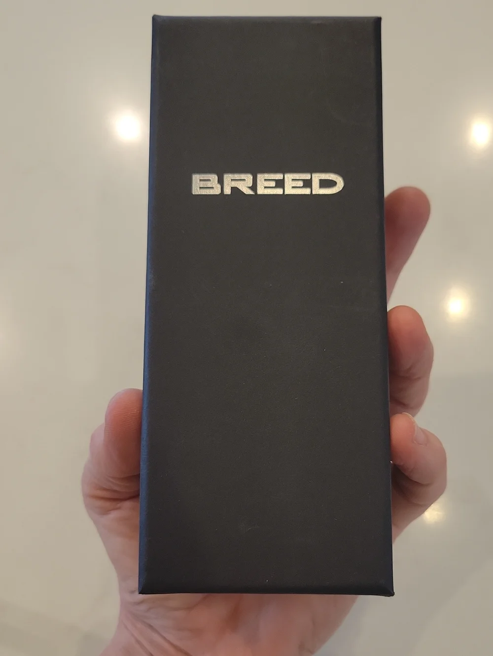 Breed Tempest Mens Watch